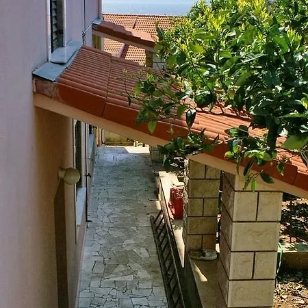 4339b  Zavalatica
